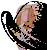 Drawing of a derby hat